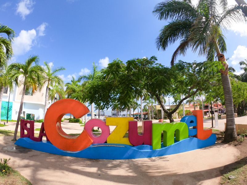 Isla Cozumel sign and surrounding palm trees