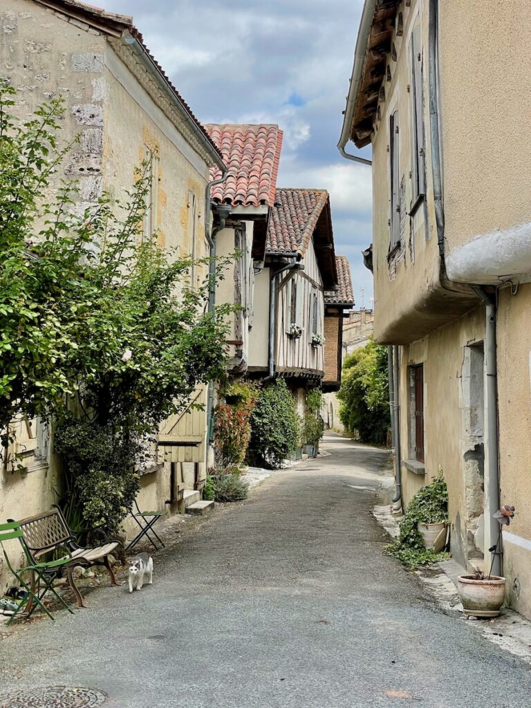 Atmospheric old backstreet in Issigeac in Dordogne with a cat walking down the street