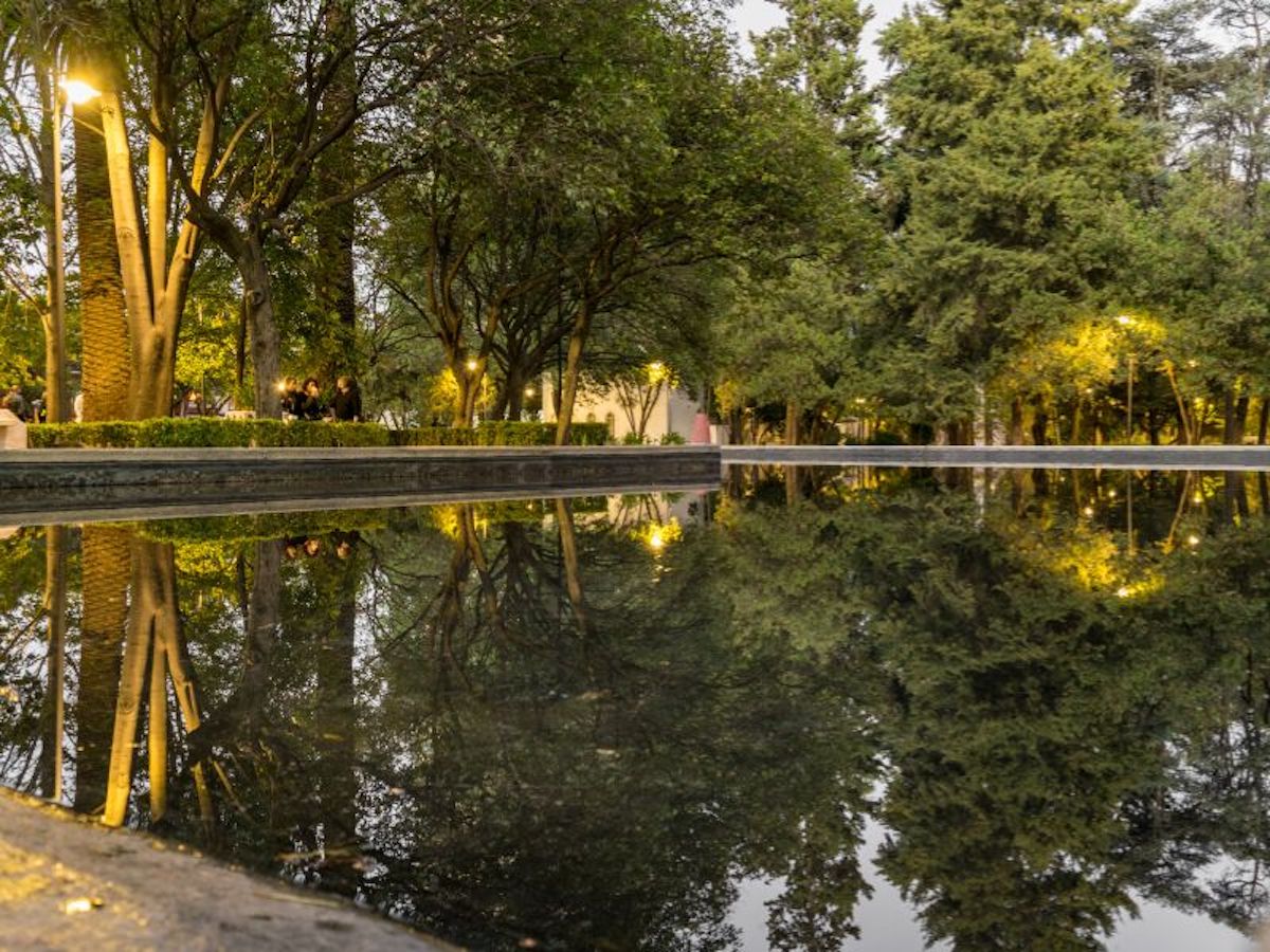 Green park with lake reflecting trees in Polanco Mexico City