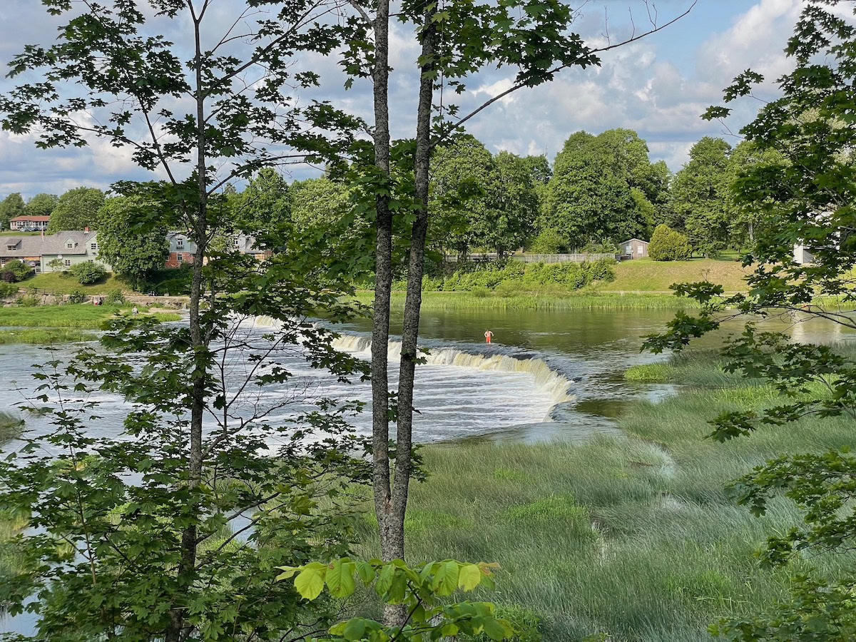 Venta Waterfall at Kuldīga fans out in a broad, low curtain across the river, its foamy water spilling into reed-fringed shallows. Leafy trees and village houses peek through the natural frame of foreground branches, while a lone person stands mid-cascade.