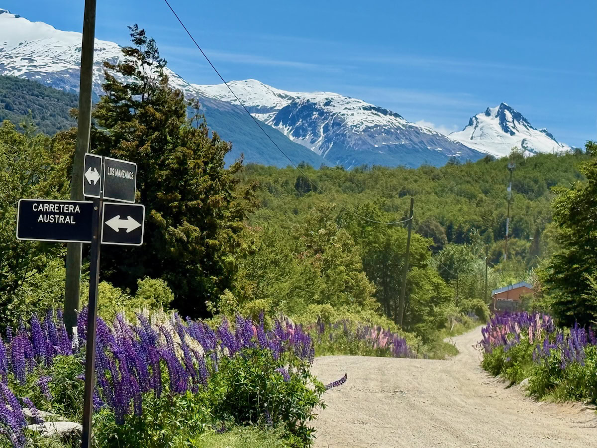 Gravel-road junction marked Carretera Austral and Los Manzanos, bordered by purple lupins beneath snow-covered peaks